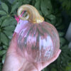 Hand Blown Glass Pumpkin - Pink Princess - Image 2