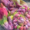 Hand-Dyed Roving - Vineyard - Image 3