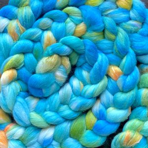 Hand-Dyed Roving - Finding Nemo