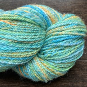 Handspun Yarn - Finding Nemo